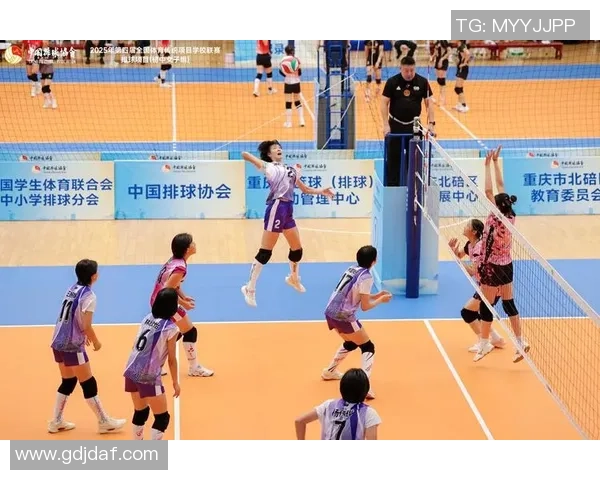 张静独家分享排球心得与技巧提升之路,助你成为场上明星 张静独家分享排球心得与技巧提升之路,助你成为场上明星