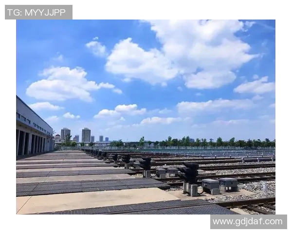 武汉排球队的奋斗与荣耀之路杯赛特别报道