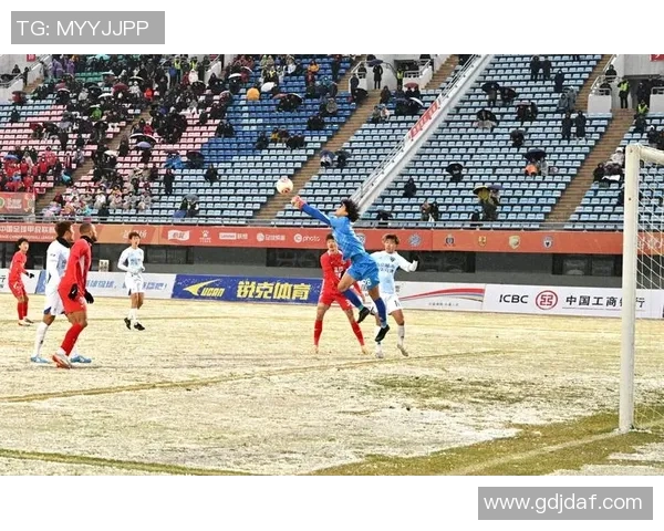 狼系足球明星的崛起与影响力解析探讨他们在赛场上的表现与个人魅力